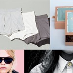 Några av de nya bolagen som tar hjälp av Åkroken Business Incubator i Härnösand som har sina lokaler högst upp i biblioteket. Från vänster: Allvar underkläder, braständaren Kotten, glasögon från Anton Frans och smyckesdesignföretaget Runa of Sweden.