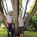 Trädkramarna på Ådalsvägen