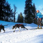 Marie Molander och hundarna Norma (med vita frambenen) och Iso har spenderat mycket tid i Vemdalen. ”Jag tackar vädergudarna för att snön kom tidigt där i år”. Foto: Andreas Einarsson