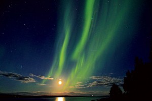 Norrsken. Foto: Sarah Nilsson