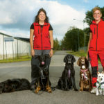 Härnö Hundteam