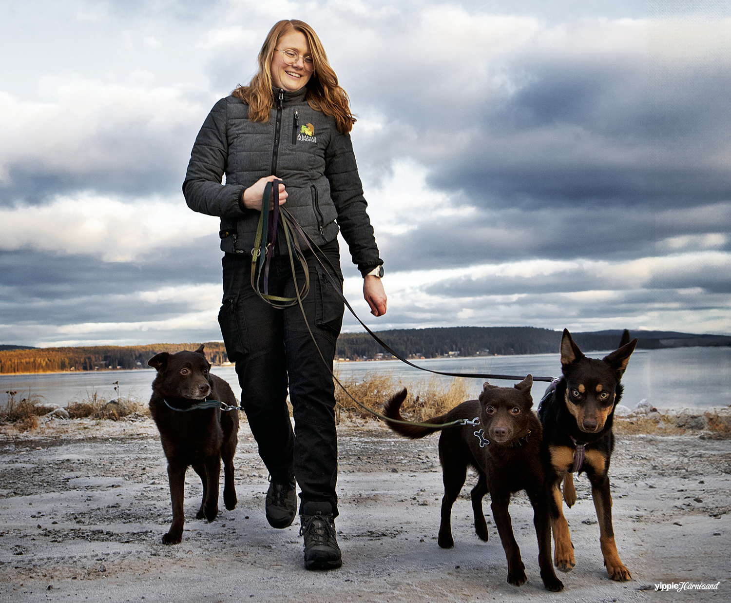 Evelyn Edblad ute och motionerar sina tre hundar.