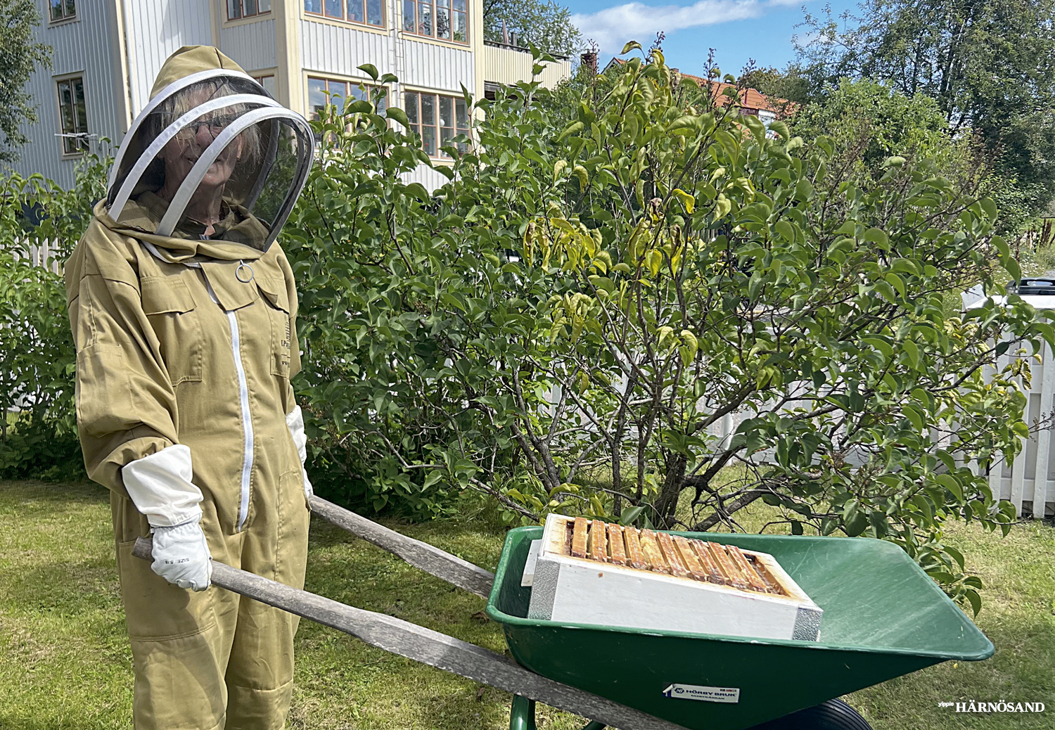 Johan Vallgårda och Tina Pinter Vallgårda har tre bisamhällen på sin gård .