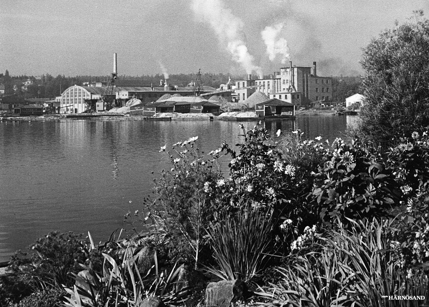 Bilden, som är döpt till ”Blomstrande industrier” är tagen för ungefär 75 år sedan från residensets trädgård mot den gamla Torsviksfabriken. Alla härnösandsbor som är äldre än 50 minns med säkerhet anläggningen som låg centralt vid Nattviken.