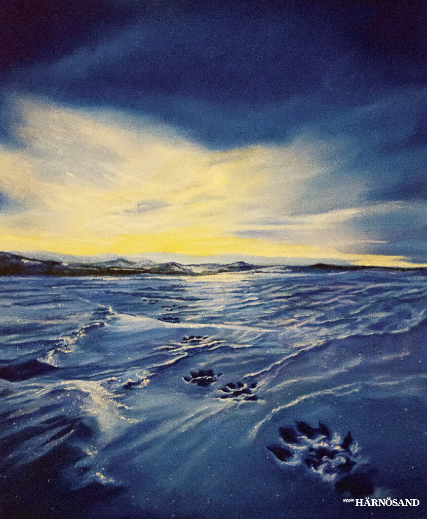 Spår av rovdjurstass vid havsbandet är motivet på ett av verken som hänger på Meditationskyrkan i Härnösand.