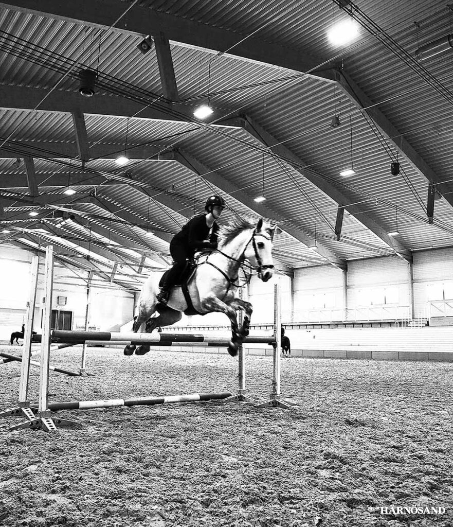 Bland idrotterna som ökat i Härnösand märks ridsport.FOTO PAWEL MARONSKI