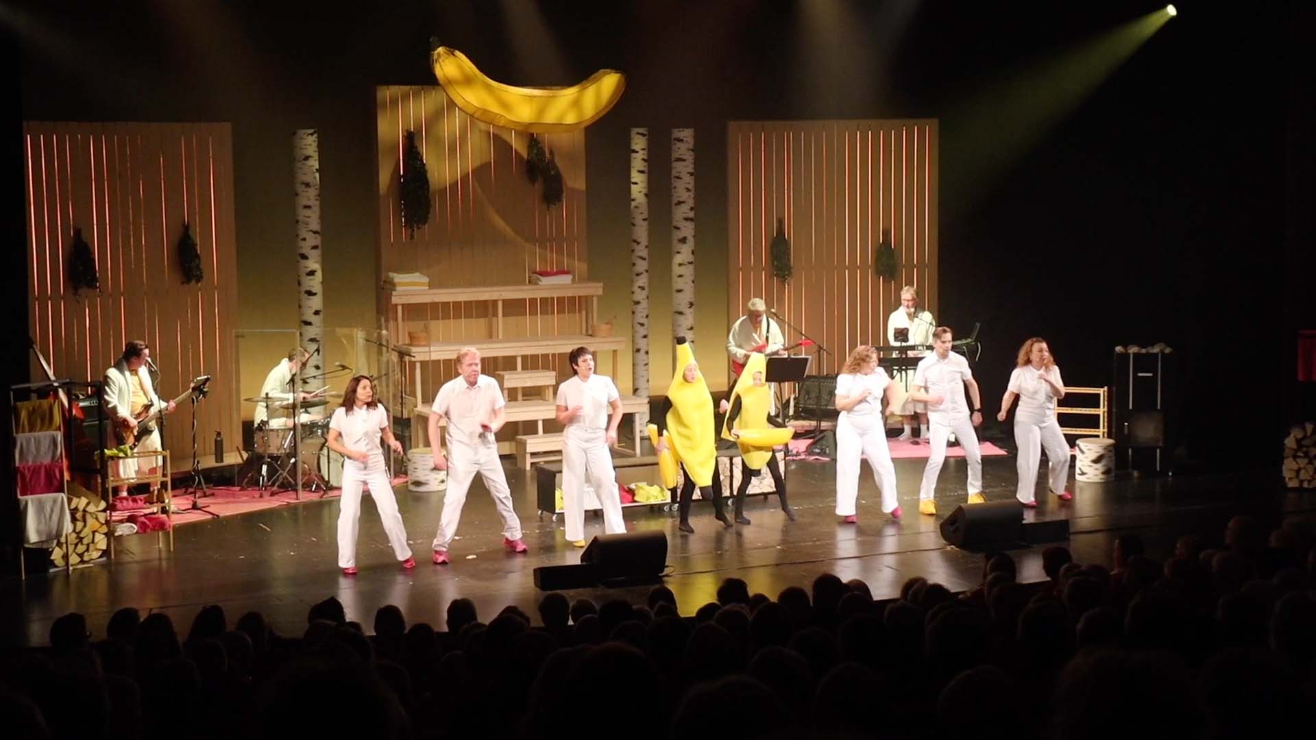 klipp_22jan_mittrevyn