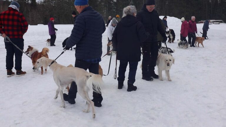 Härnösands Brukshundklubb