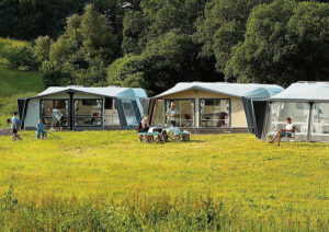 Campingarna i Västernorrland får genomgående bra betyg.