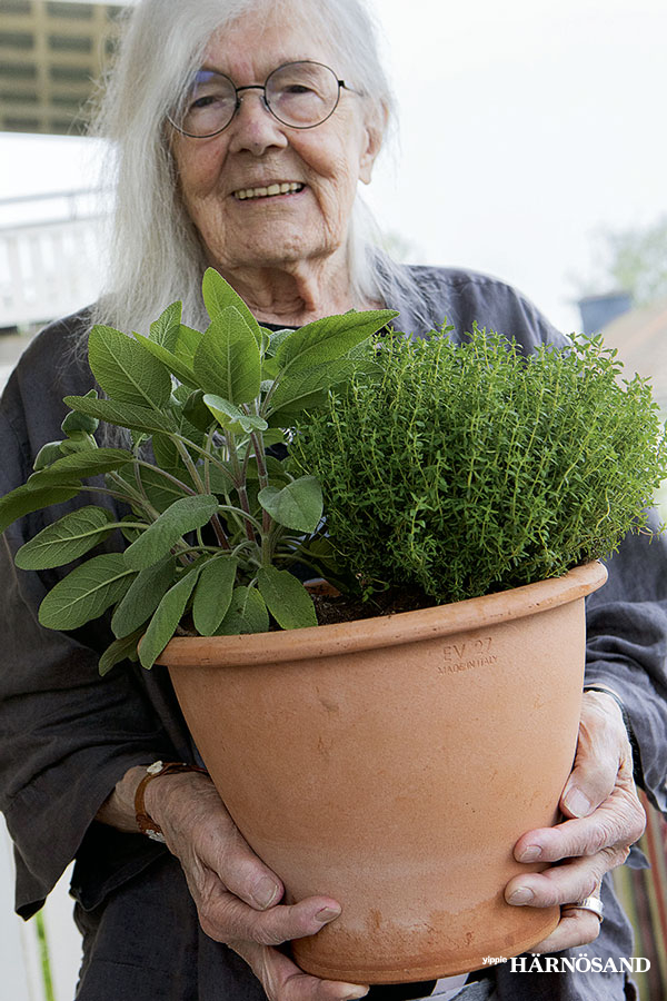 Medelhavskryddorna har sin självklara plats. Salvia, timjan, rosmarin och oregano följer med henne vart hon än tar sig.