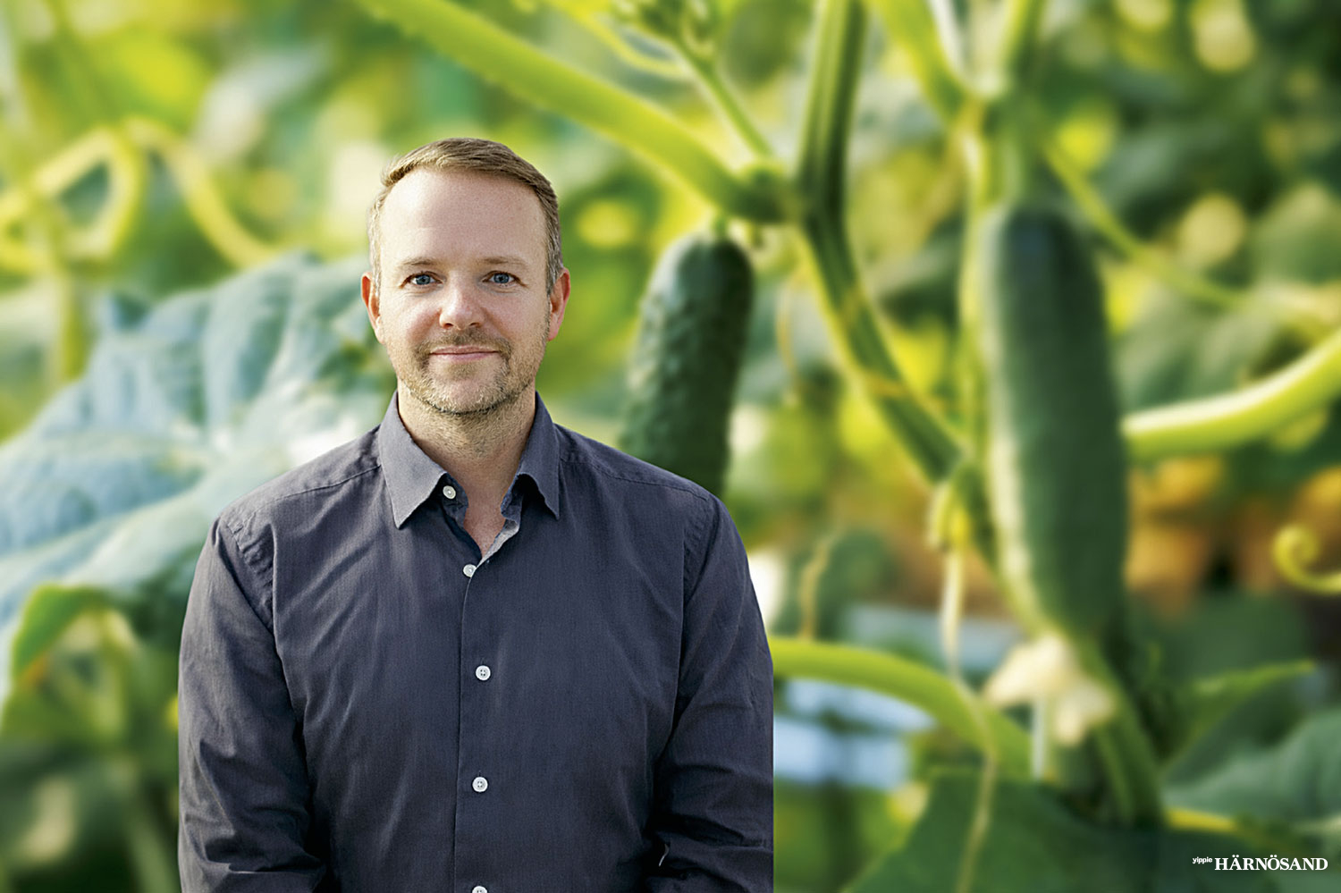 Joakim Linneros, ny vd på Agtira sedan november.