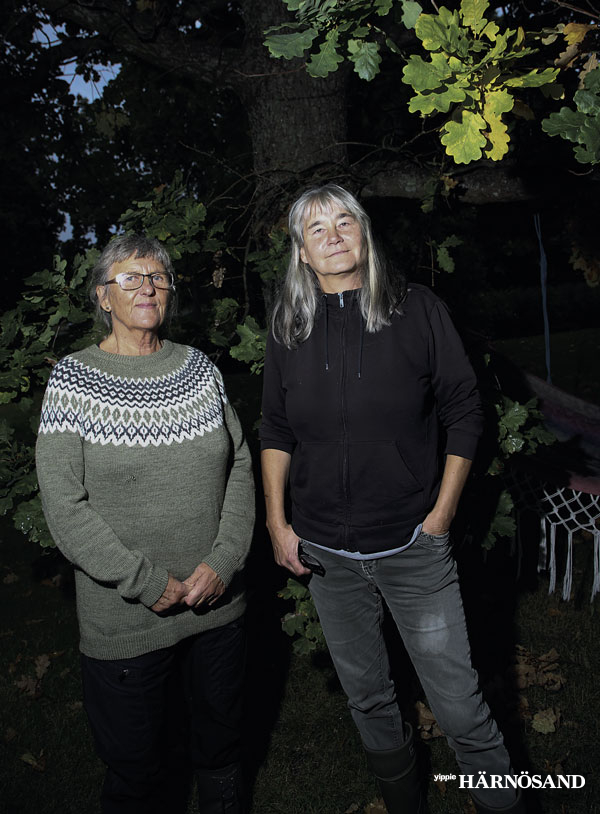 Evalena Horn och Sofia Vogels bostadsområde i Härnösand har invaderats av mördarsniglar.